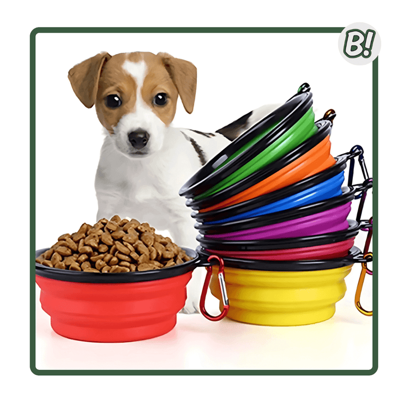 Comedouro Portátil de Silicone para Pets – 350 ml