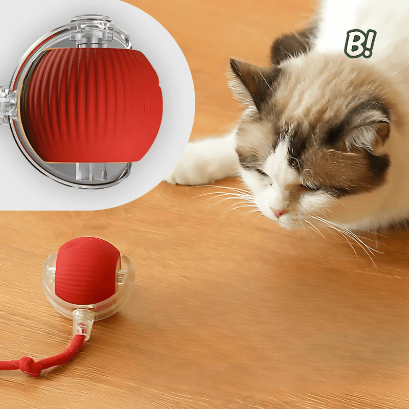 RolaPet – Bola Interativa Inteligente para Pets
