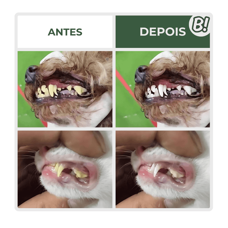 Dedinho Mágico – Escova de Dente para Pets
