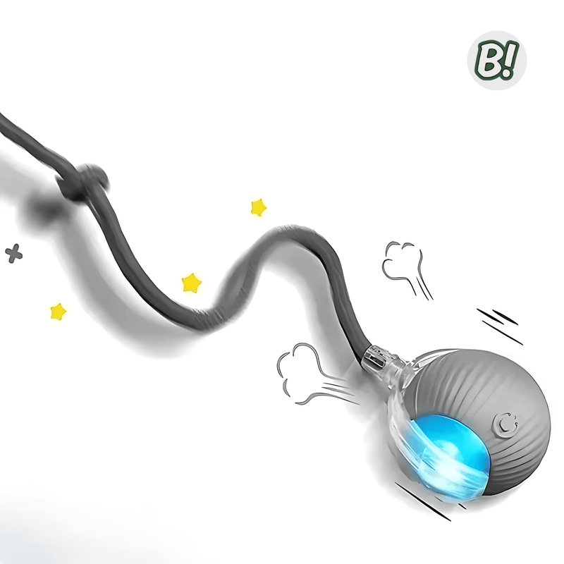 RolaPet – Bola Interativa Inteligente para Pets