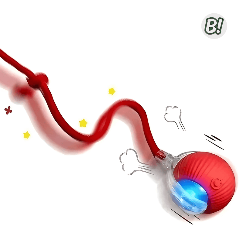 RolaPet – Bola Interativa Inteligente para Pets