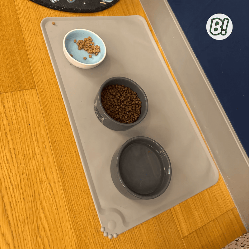 PeTap – Tapete de Silicone para Comedouro de Pets