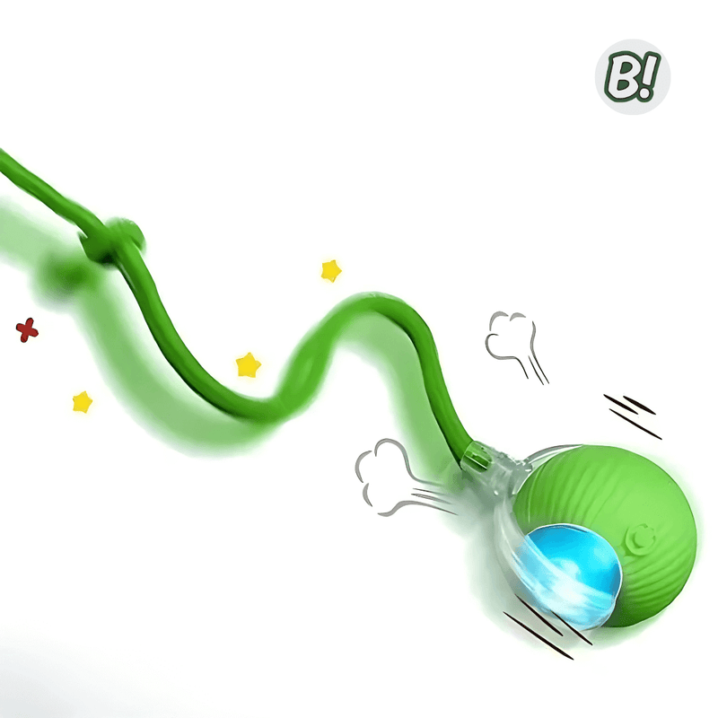 RolaPet – Bola Interativa Inteligente para Pets