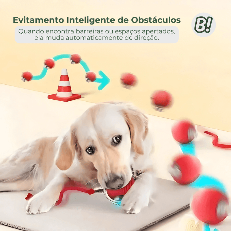 RolaPet – Bola Interativa Inteligente para Pets