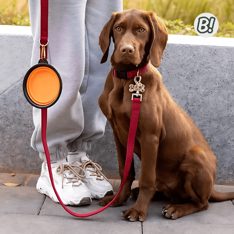 Comedouro Portátil de Silicone para Pets – 350 ml