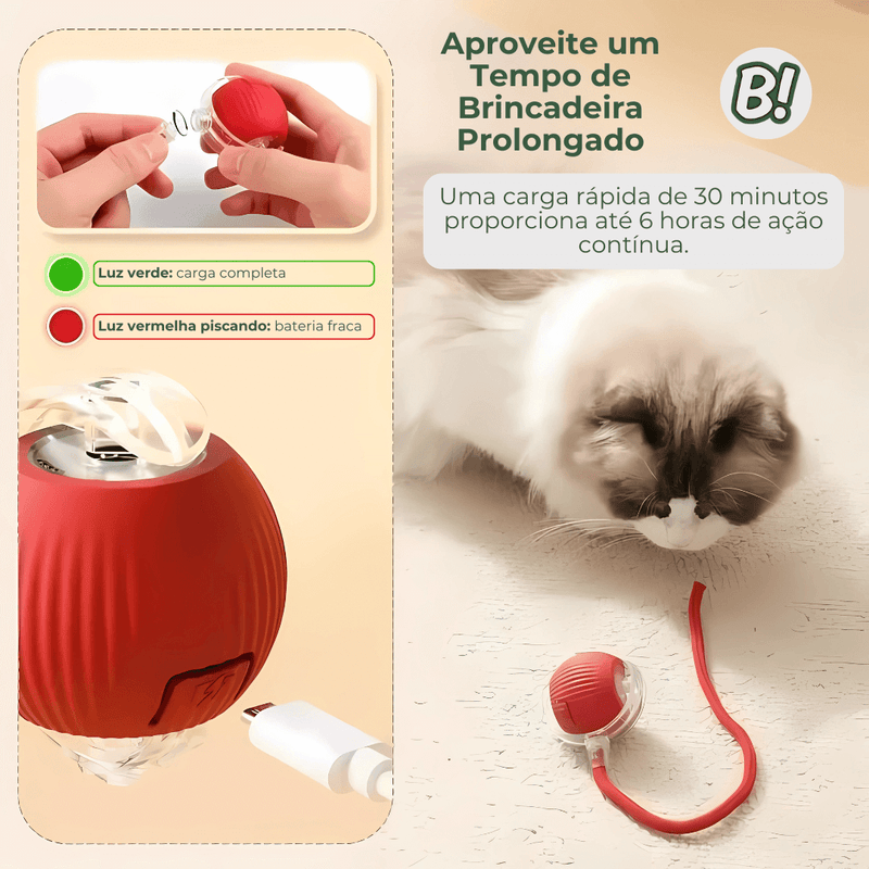 RolaPet – Bola Interativa Inteligente para Pets
