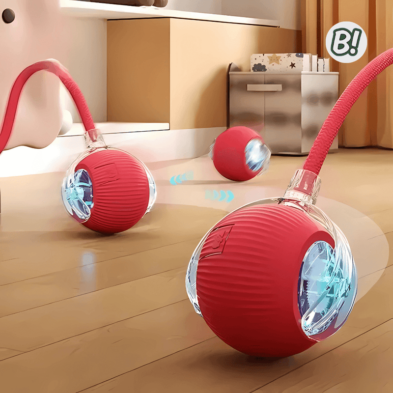 RolaPet – Bola Interativa Inteligente para Pets