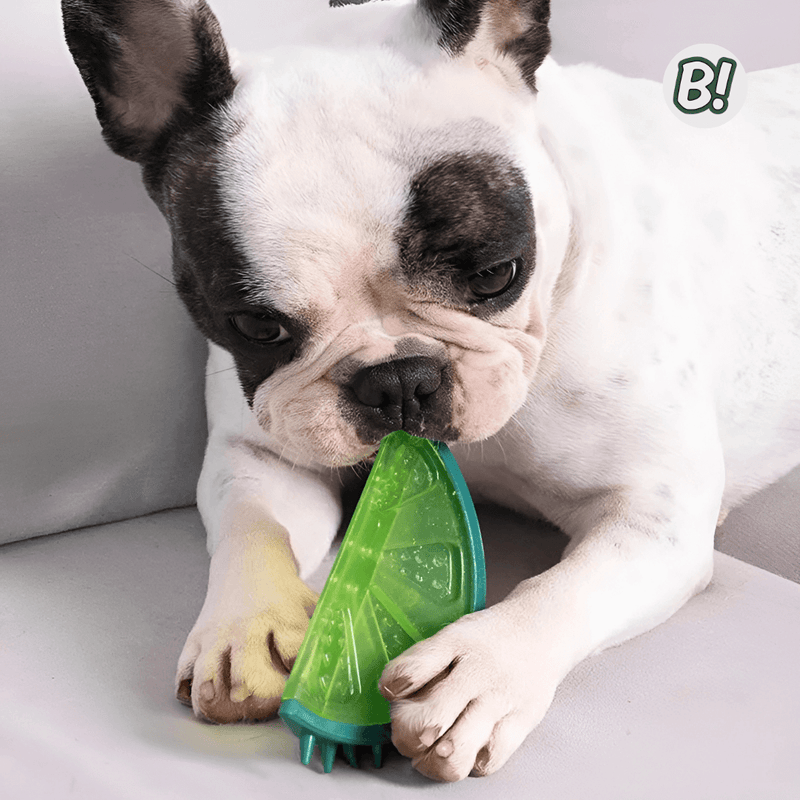 MordeGel – Brinquedo Refrescante e Mordedor para Pets