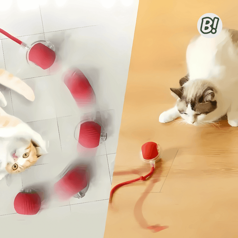 RolaPet – Bola Interativa Inteligente para Pets