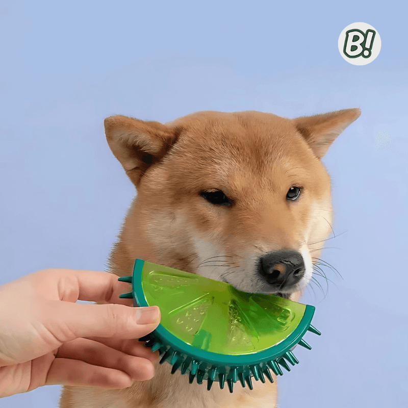 MordeGel – Brinquedo Refrescante e Mordedor para Pets