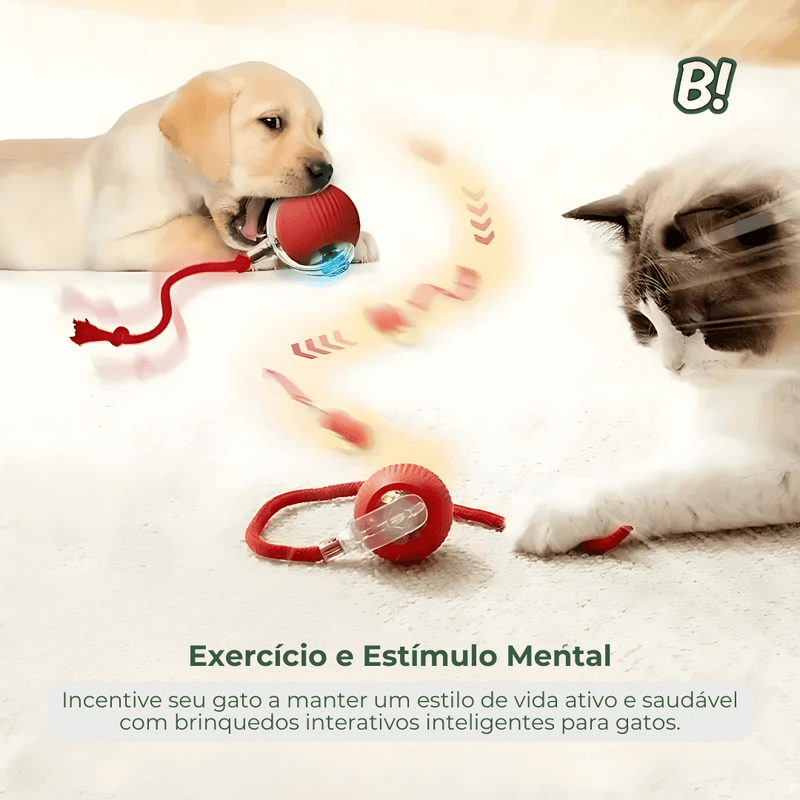 RolaPet – Bola Interativa Inteligente para Pets
