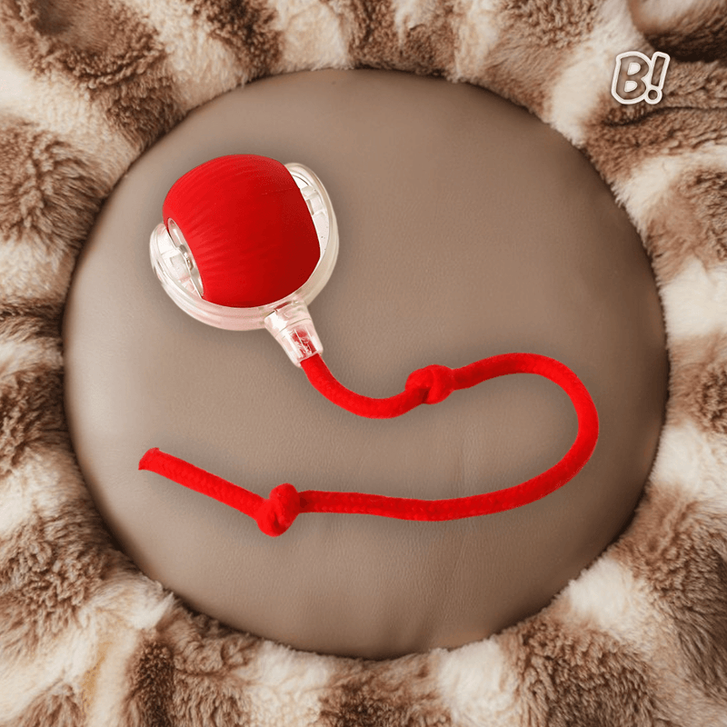 RolaPet – Bola Interativa Inteligente para Pets