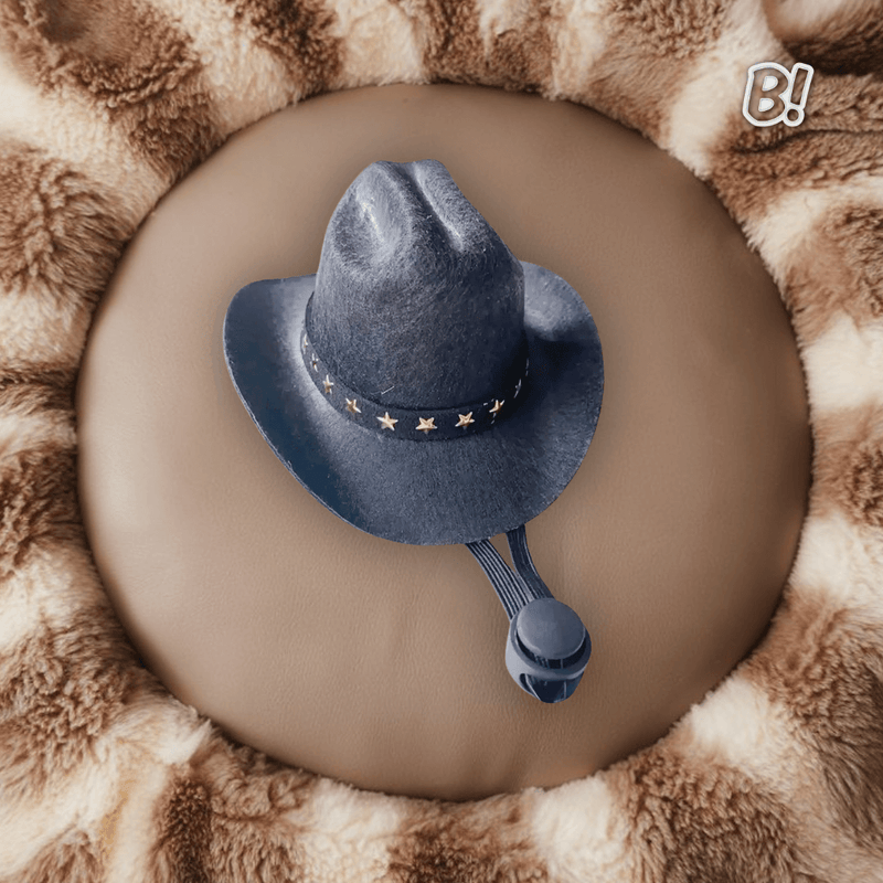 ChaPet – Chapéu Cowboy Ajustável para Pets Estilosos